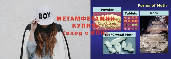 PSILOCYBIN Волосово