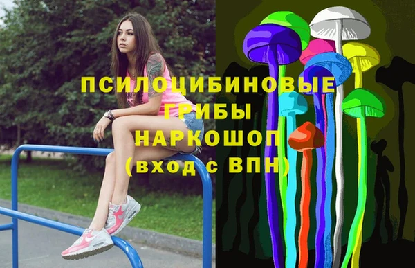 PSILOCYBIN Волосово