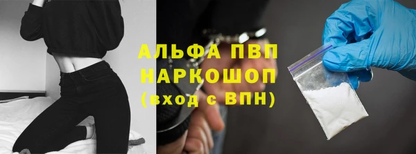 PSILOCYBIN Волосово