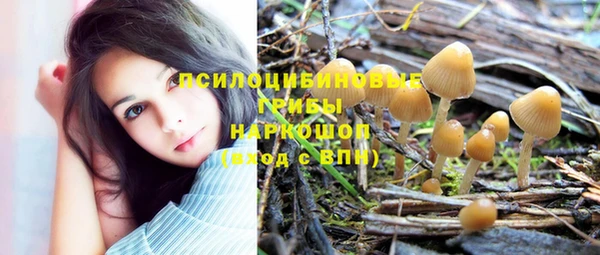mdpv Верхний Тагил