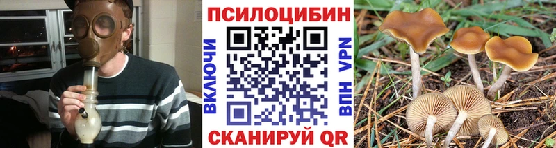 Псилоцибиновые грибы Cubensis  купить наркотики цена  MEGA вход  Камызяк 