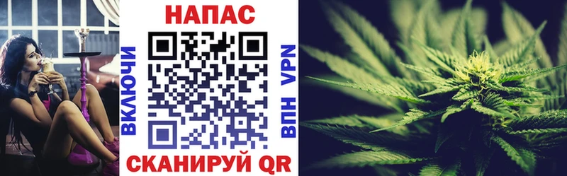 Канабис гибрид Камызяк
